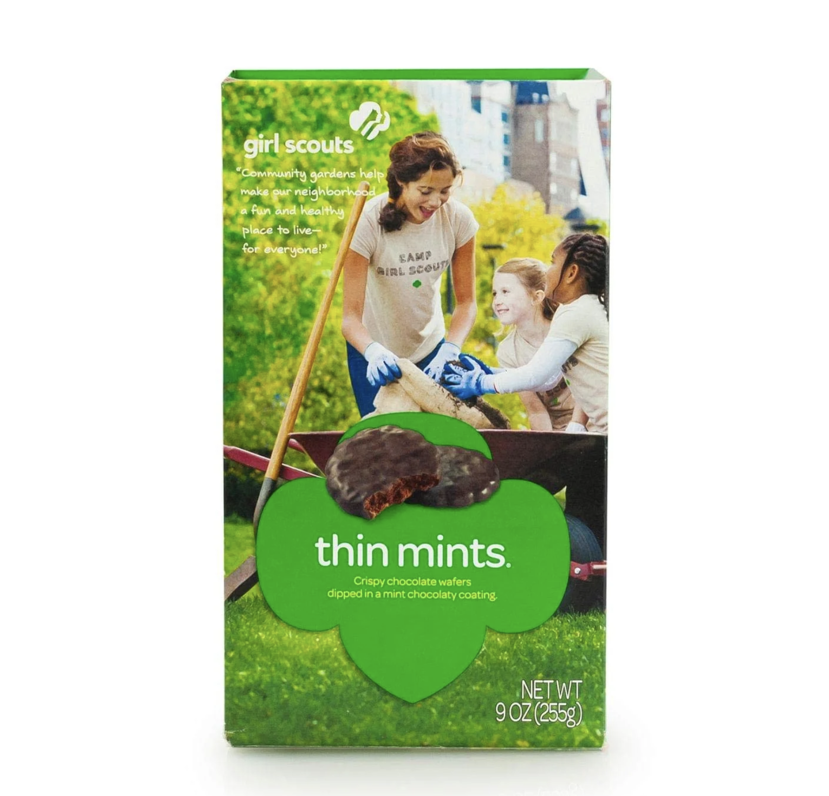 Girl Scout Thin Mints Cookies